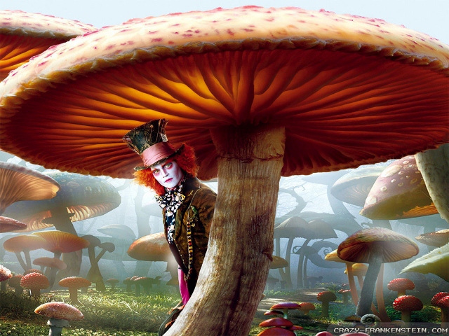 mushroom-alice-in-wonderland-movie-wallpapers-1024x768 (640x480)